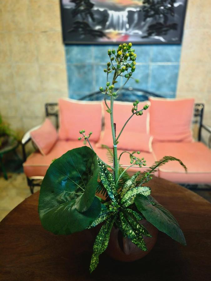 Morocco AG - B&B Casablanca