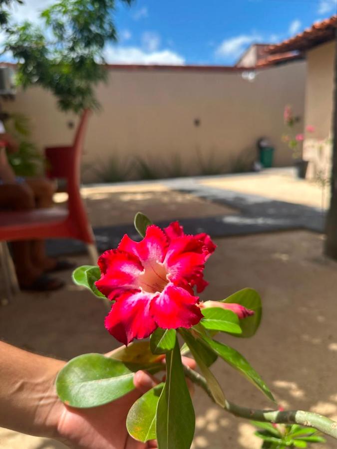 Villa Del Lobo - B&B Barreirinhas