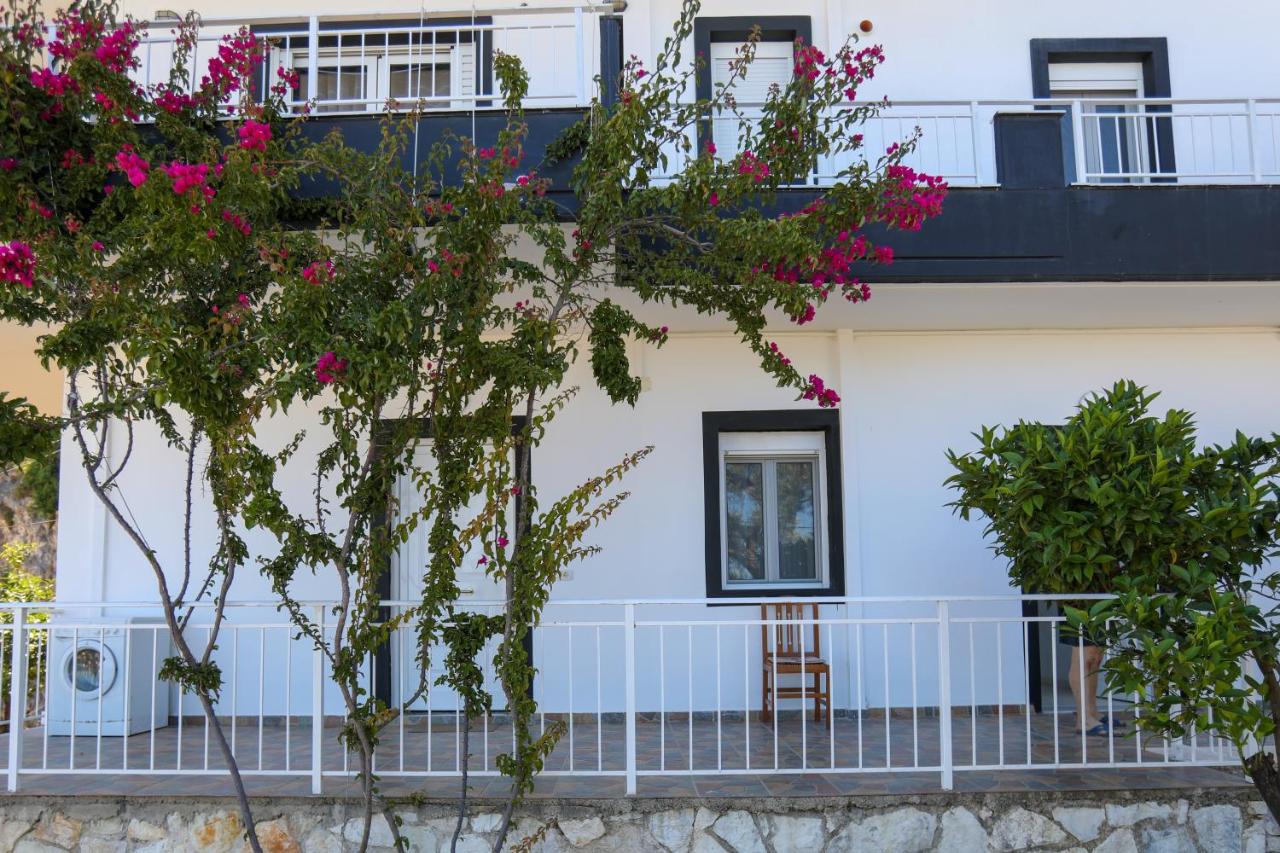 Vila Foti - Chambres d'hôtes Vlora