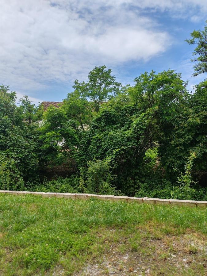 Aqva Lux Apartman - Chambres d'hôtes Vrdnik