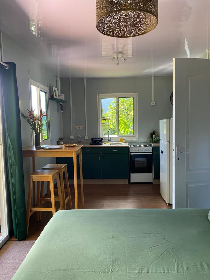 Green bed sits in center of room at dog-friendly Fare Maraea in Vaiare.