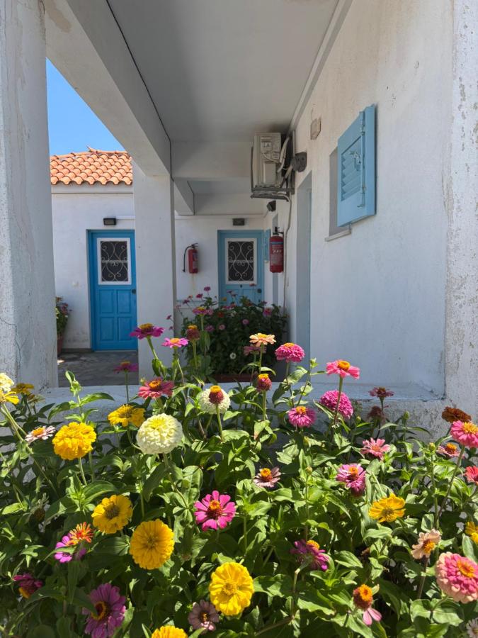Anthemis Studios - B&B Skála Eresoú
