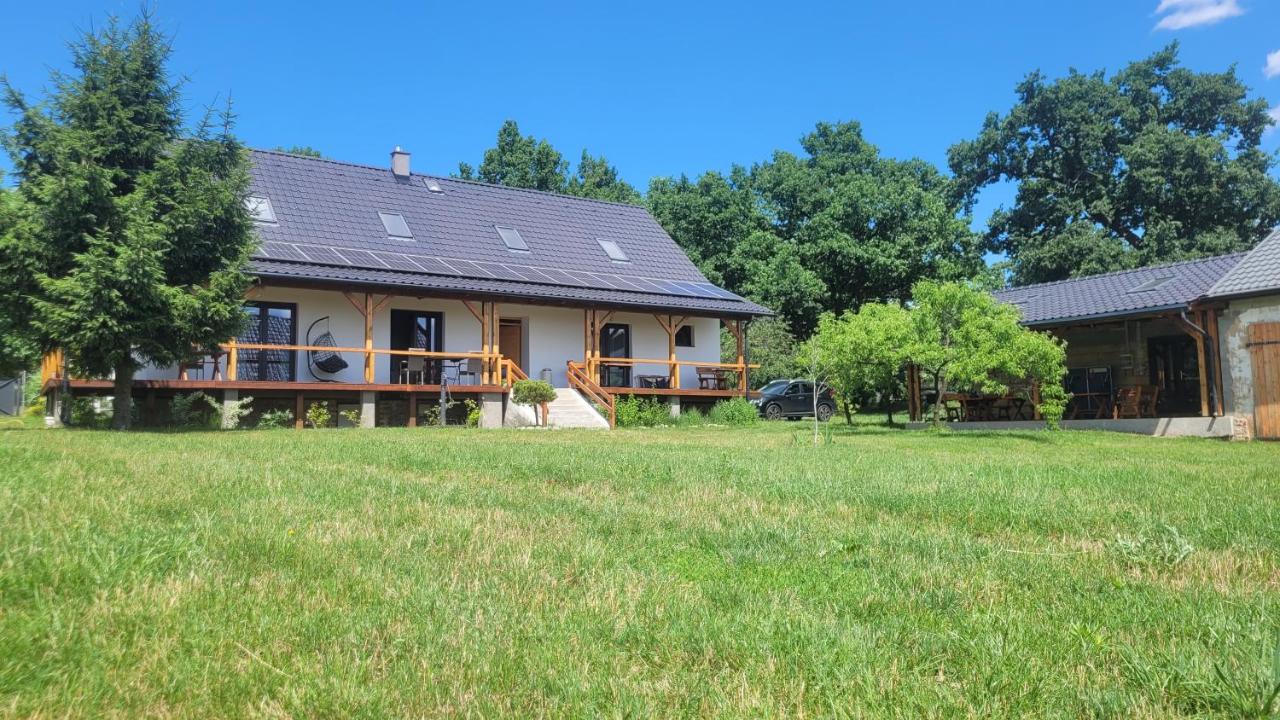 Dom Przy Puszczy Noteckiej - Chambres d'hôtes Skrzynice