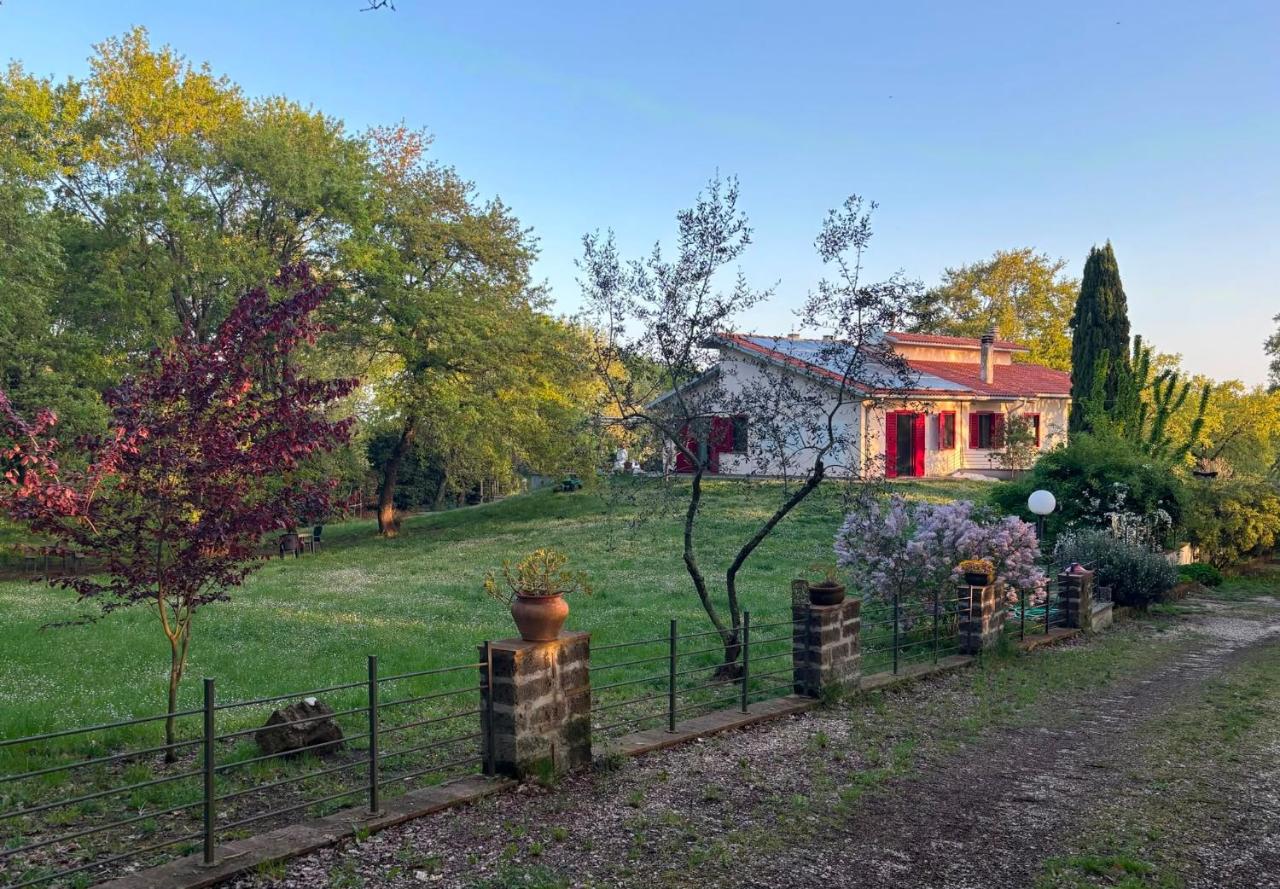 B&B Notti di stelle - B&B Soriano nel Cimino