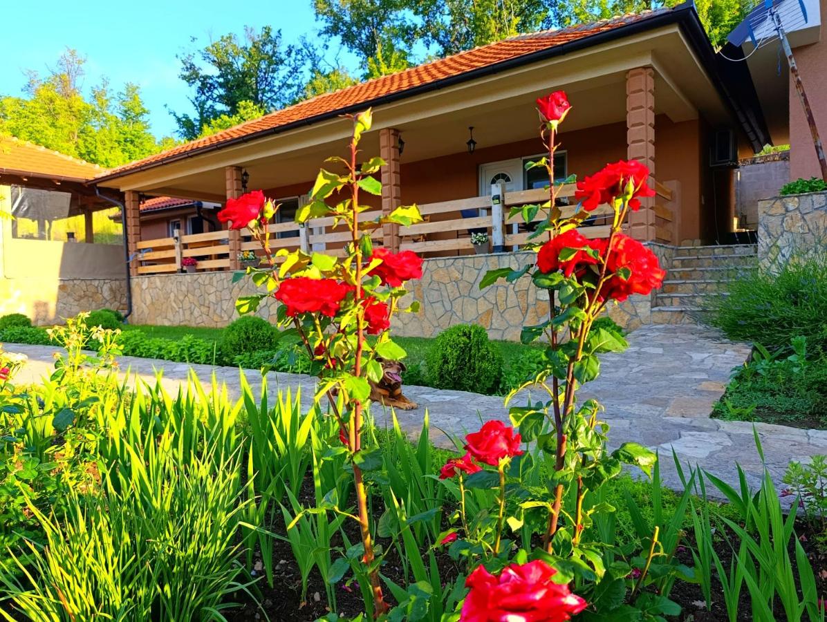 Vila Vera Borsko Jezero - Chambres d'hôtes Bor