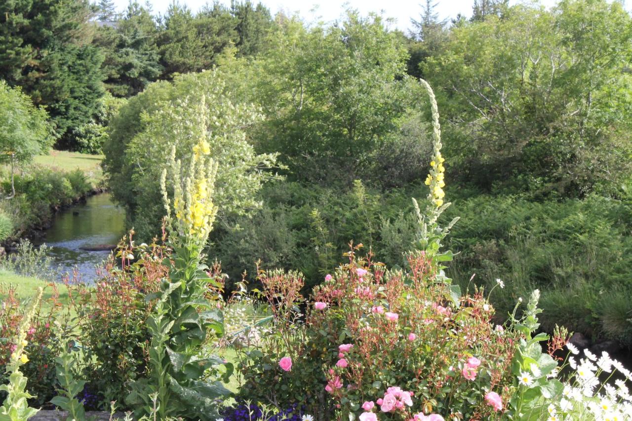 Stone Riverside Retreat - Bed and Breakfast Galway