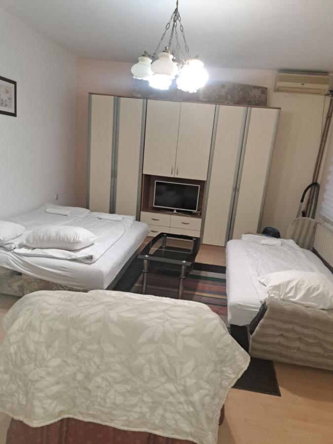Apartments Petkovic - Ferienwohnung Soko Banja