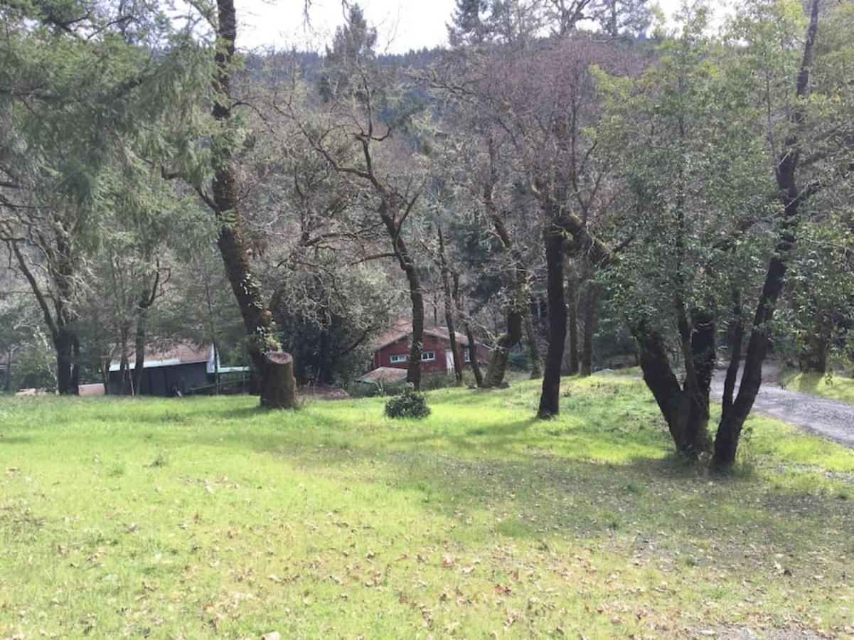 Avenue of the Giants Caraway Cottage (#3) - Chambres d'hôtes Miranda