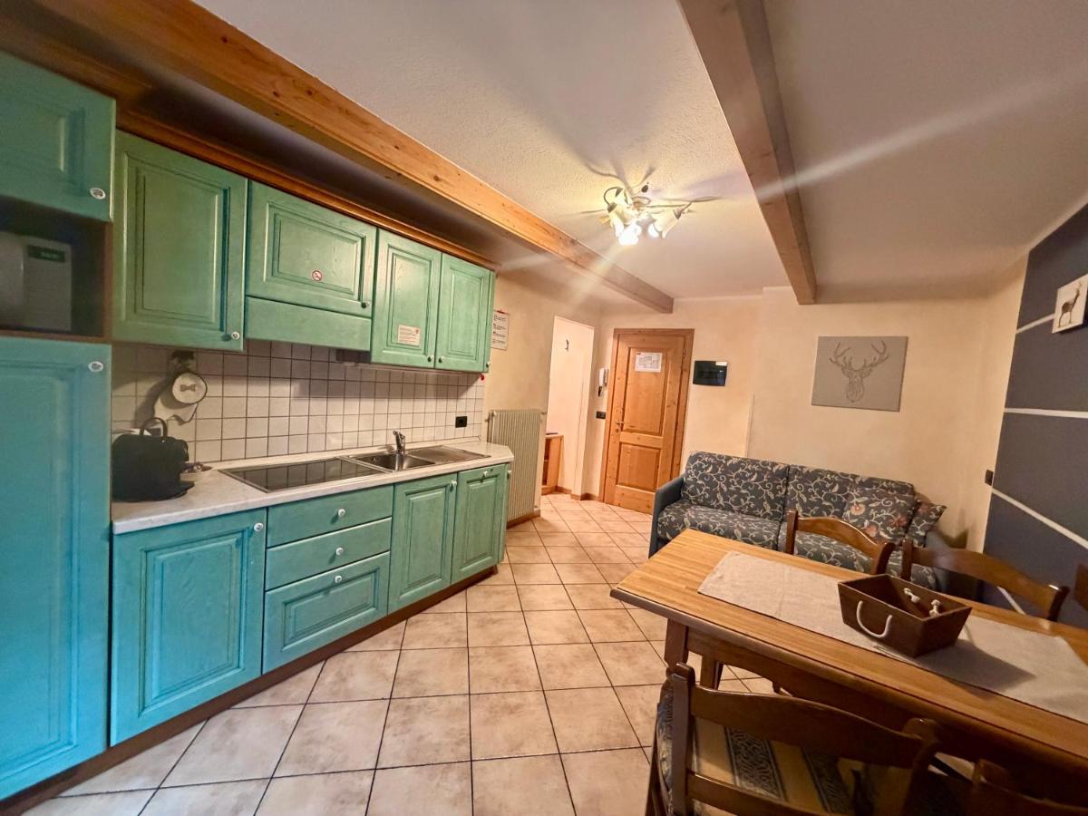 Turquoise kitchen cabinets line the wall at pet-friendly Rosengarden Alpine Residence in Valdidentro.