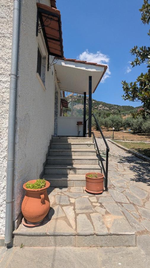 Villa Anastasia - Private resort in an olive grove - Bed and Breakfast Iraklítsa