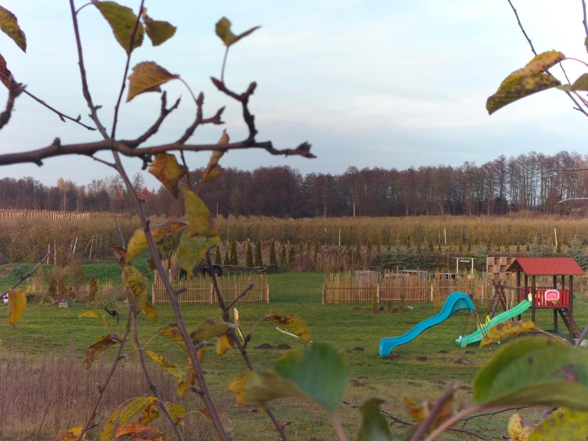 Agroturystyka Zdrowo przez sad - B&B Brzezinki