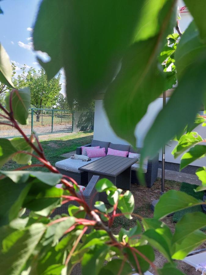Secret Garden House - B&B Surduk