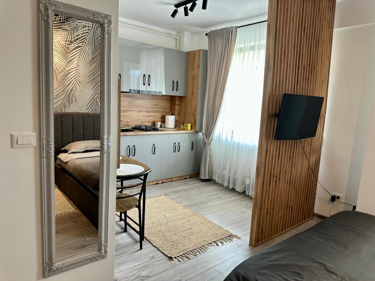 Sofia Residence Studio Cetate - B&B Târgu Neamţ