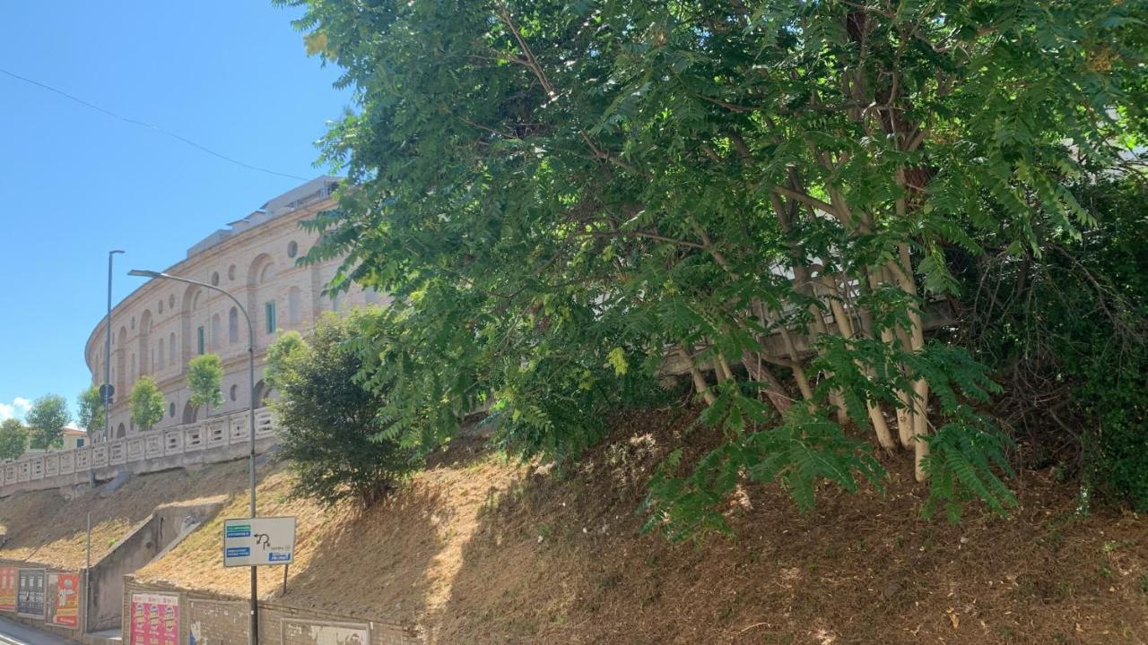 Palco 105 - Ferienwohnung Provinz Macerata