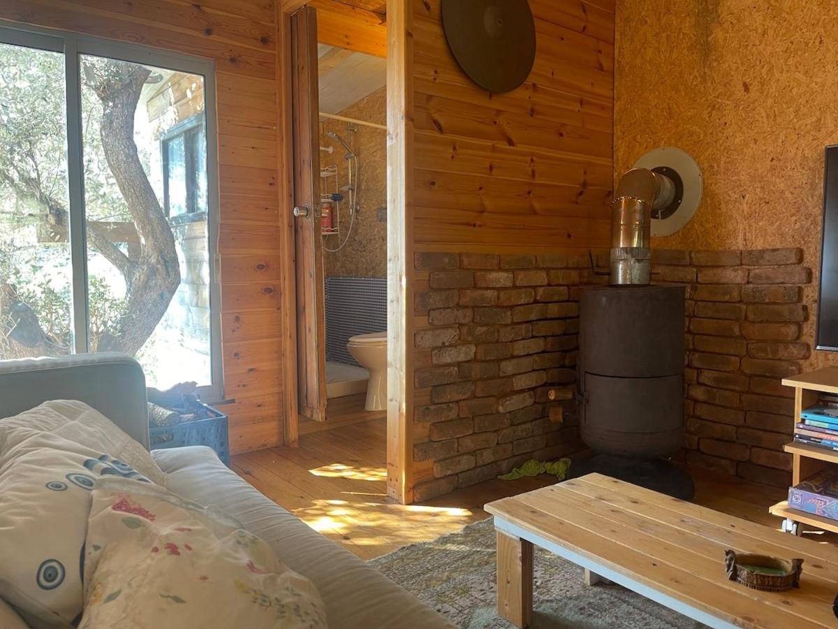 Shepherds Cabin in Kadita - בקתת רועה בקדיתא - Chambres d'hôtes Kaddita