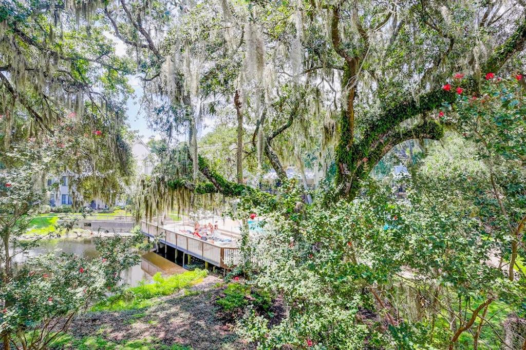 Springwood Villas 45 - B&B Hilton Head