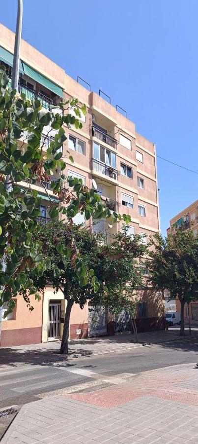 Delphin Botanik Apartment - B&B Alicante