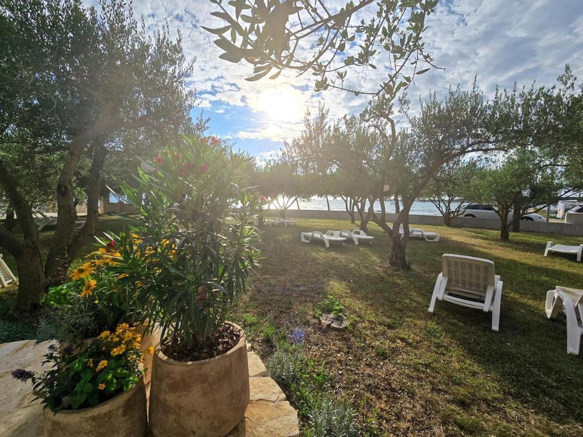 Olea 1930 - Room For 2 With Sea View And a Balcony - B&B Zaton