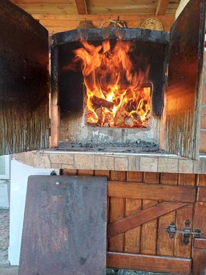 Pensiunea Casa Godja - Chambres d'hôtes Văleni