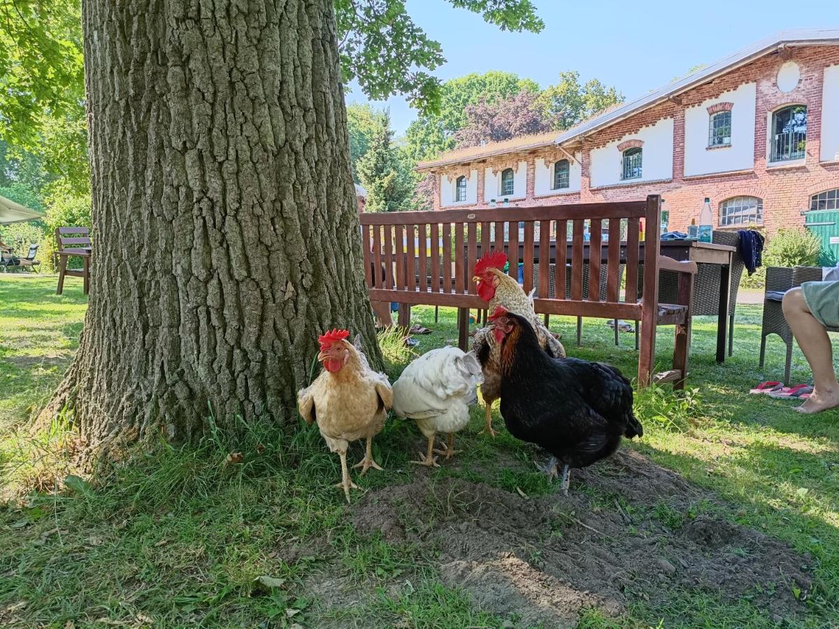 Ferien am Schloss - Wohnung 1 "das Pferd", Ferienwohnung am Badesee - B&B Behren-Lübchin