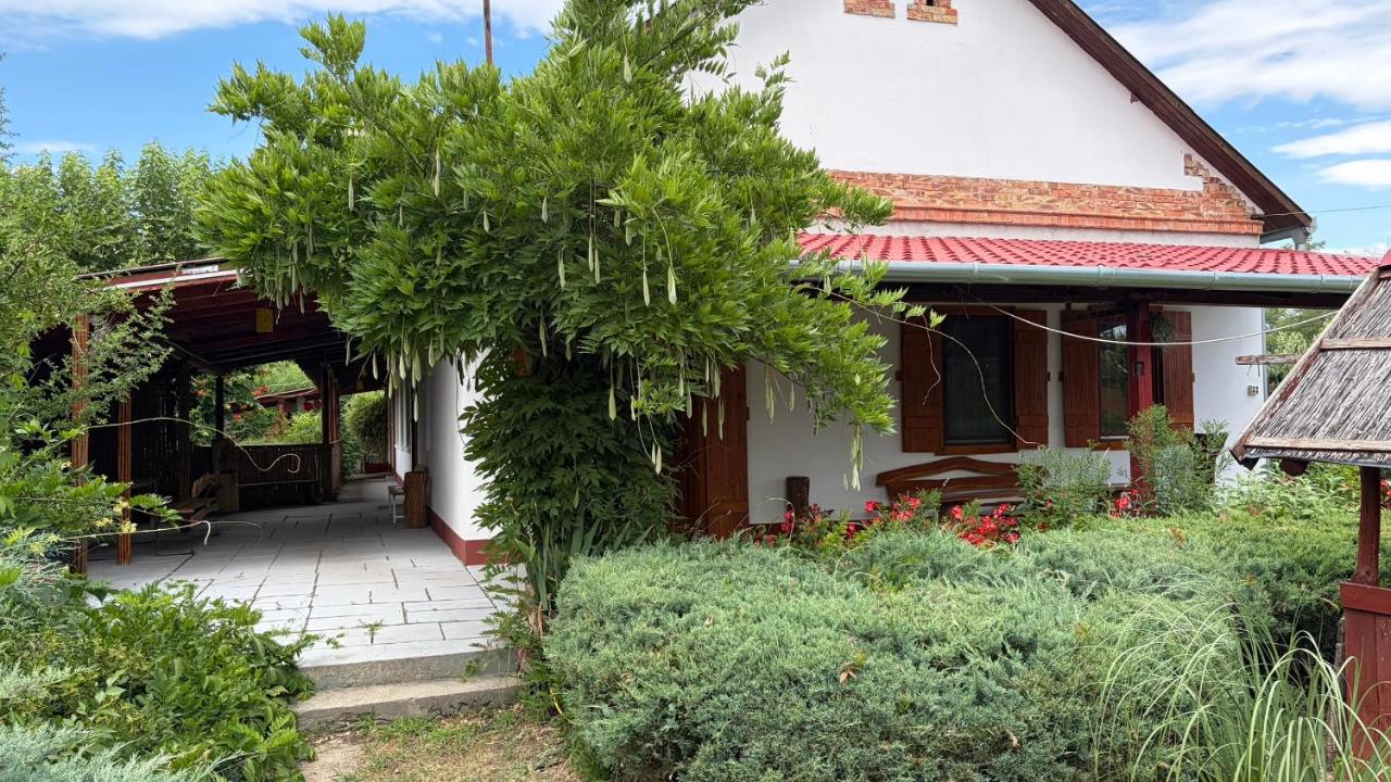Dobó Tanya - B&B Röszke