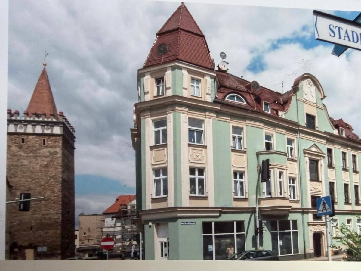 Apartament Monti Ski & Bike - B&B Głuchołazy