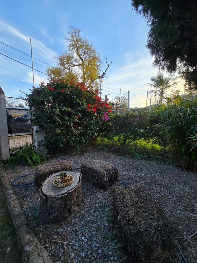 La Chiquitita apart - B&B Catamarca