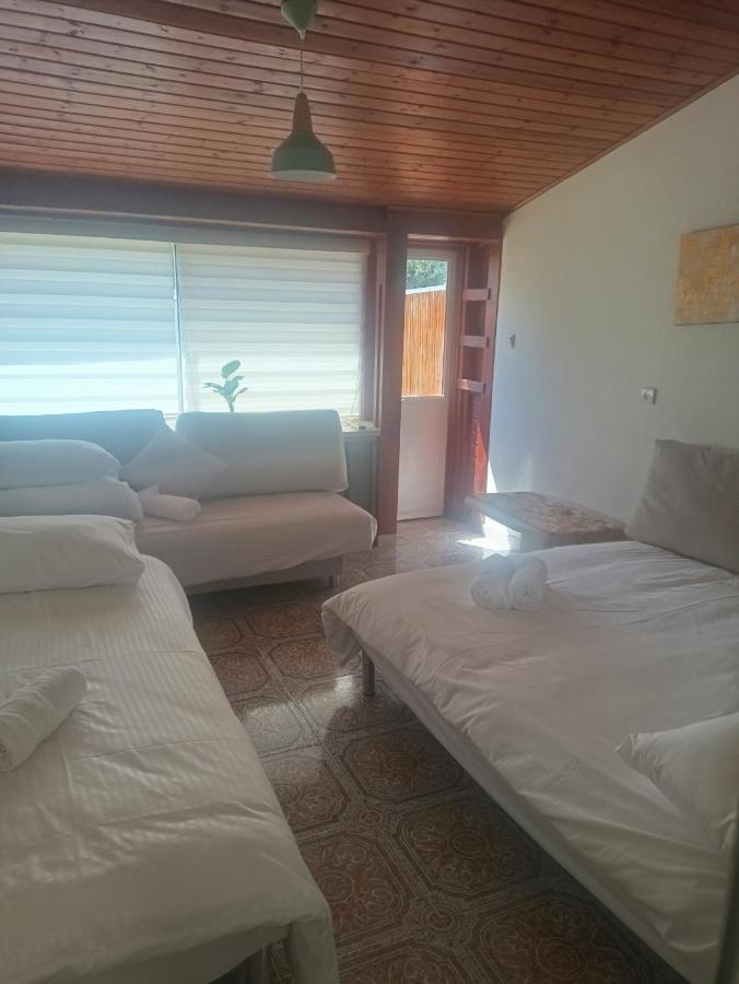 Under the Stars of the Golan - B&B Katzrin