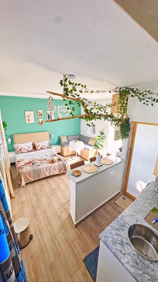 Rooftop Treehouse - Hammam Sousse - Chambres d'hôtes Sousse