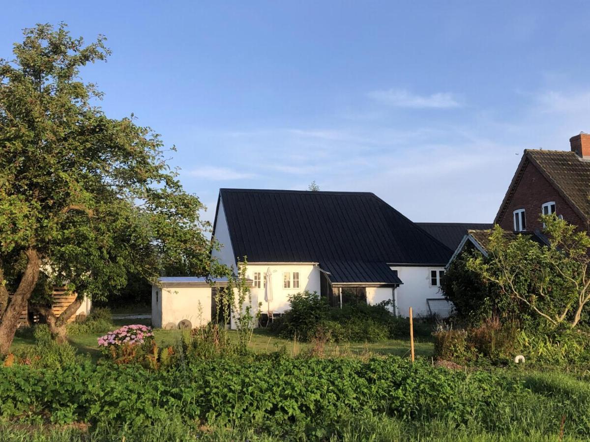Peaceful Country Home With Beautiful Water View - B&B Rudkøbing