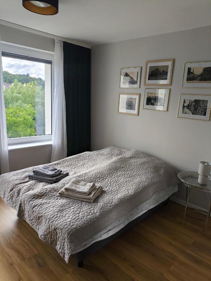 Apartament Jeziorna - B&B Debrzno