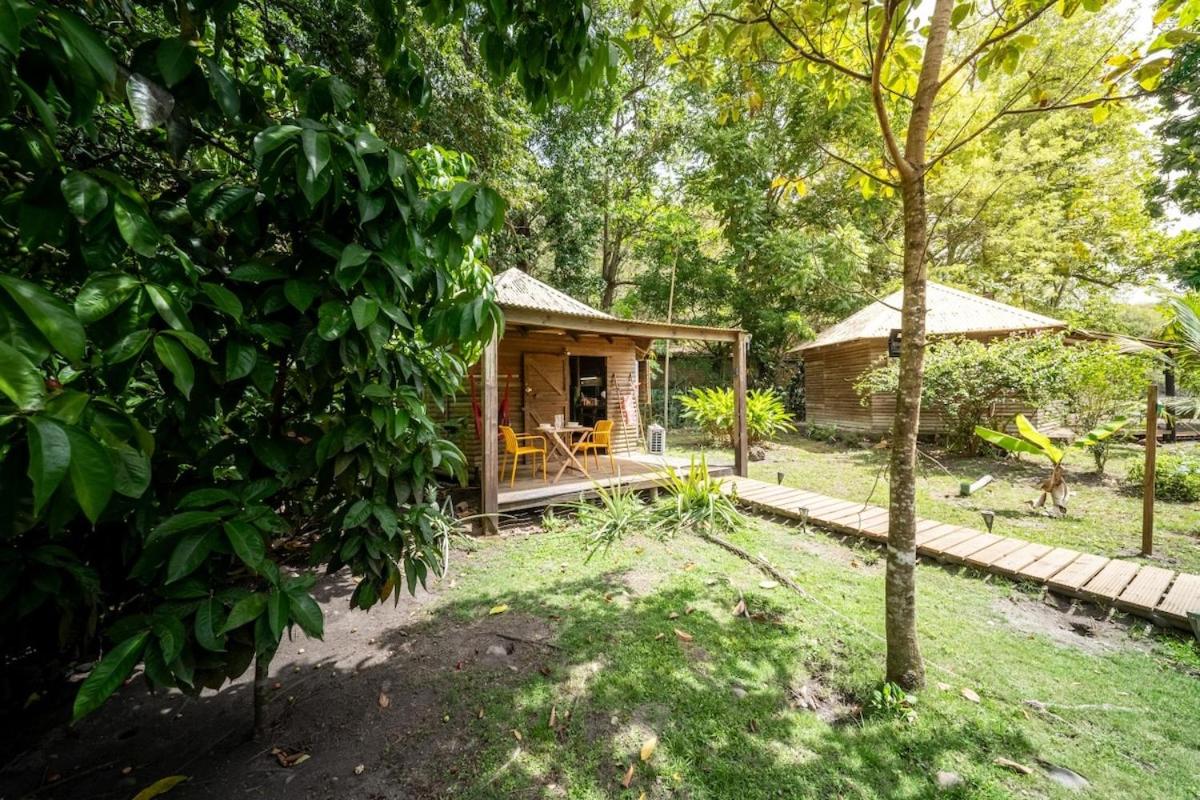 Bungalow Hibiscus, les pieds dans l'eau - B&B Les Anses-d'Arlet