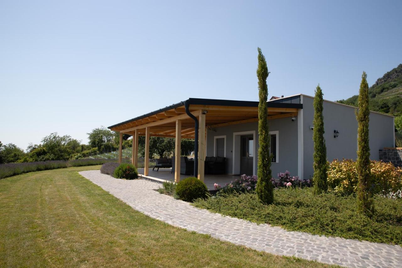 Kék Horizont Apartman Badacsony - Ferienwohnung Badacsonytomaj
