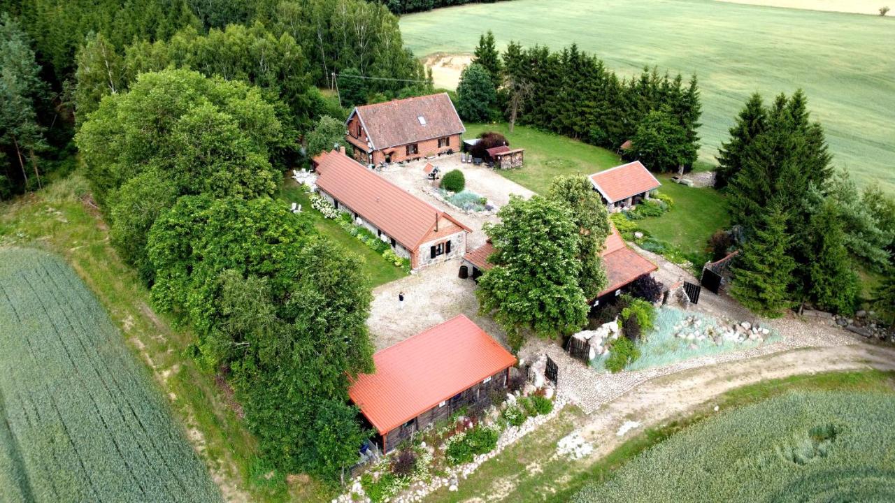 Siedlisko Żywe Kamienie - Chambres d'hôtes Naguszewo