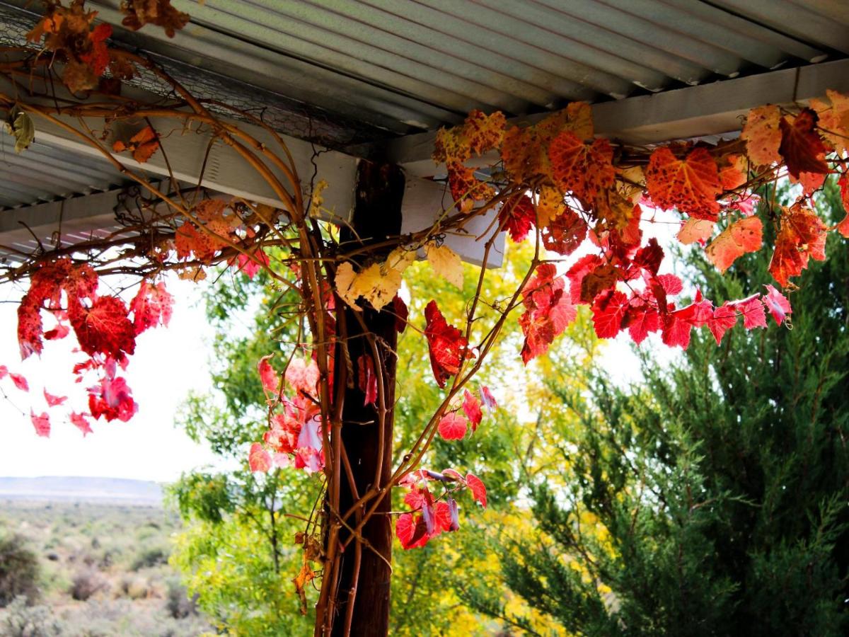Rooidam Cottage - B&B Carnarvon