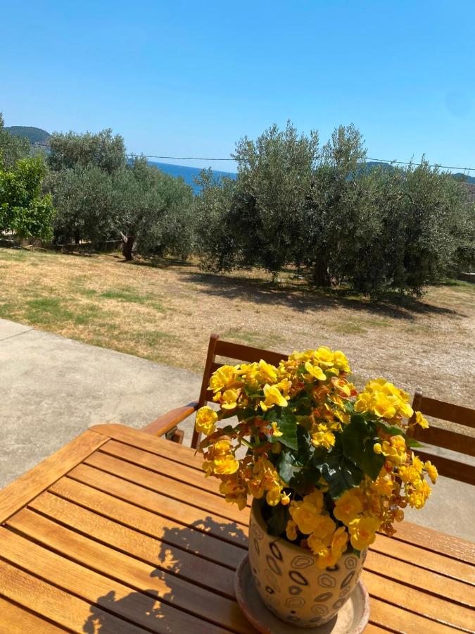 Steps to the Sea - Bed and Breakfast Kavála