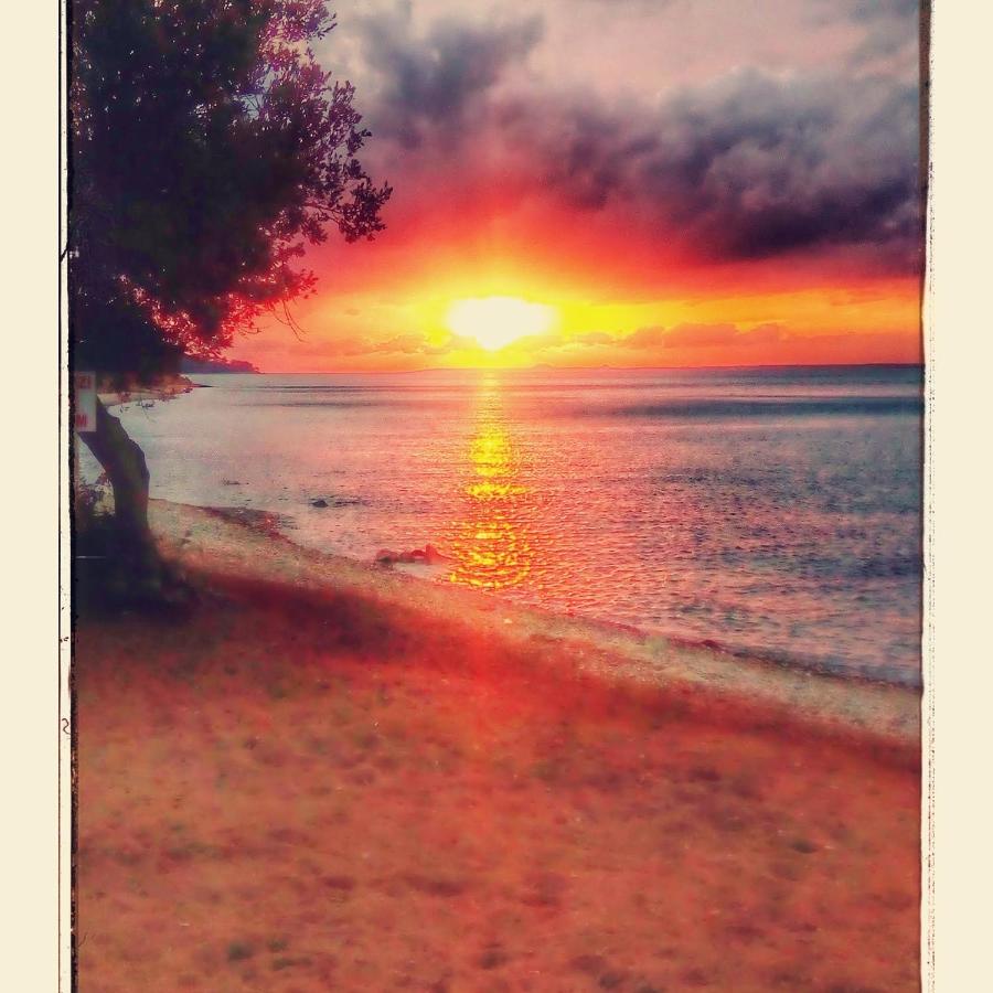 Keskin Holiday Homes | 3003 Sokak No 251 7. Block D 12, 09270 Akbük/Aegean Region | +90 553 553 52 49