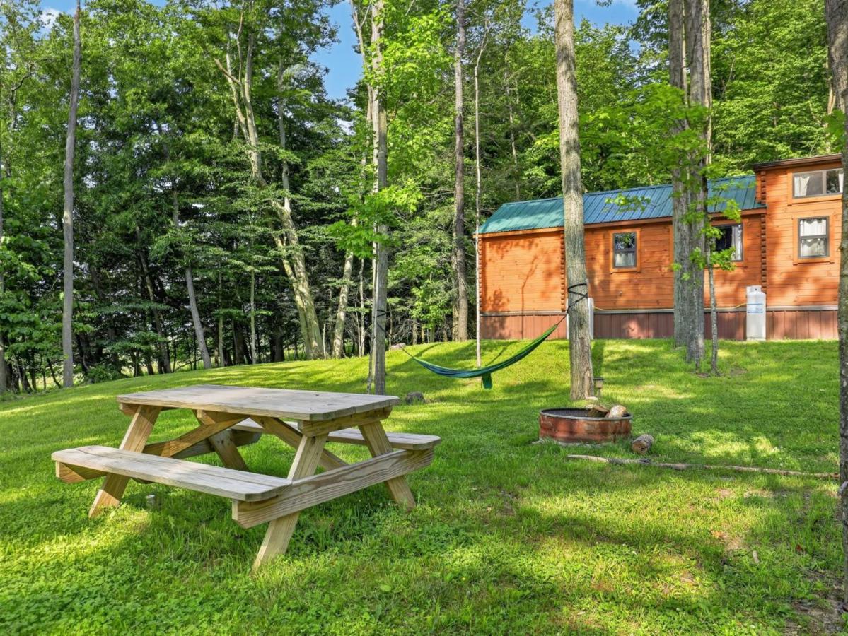 Mtn-View Cabin w Deck, Grill and Fire Pit - Chambres d'hôtes Middlebury Center