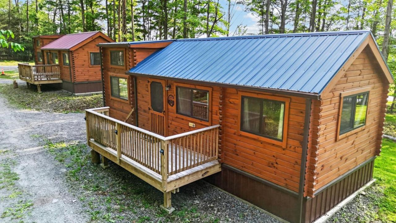 Mtn-View Cabin w Deck, Grill and Fire Pit - Chambres d'hôtes Middlebury Center