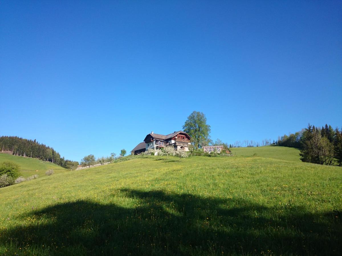 B&B Göstling an der Ybbs - BIO-Bauernhof Kurzeck - Bed and Breakfast Göstling an der Ybbs