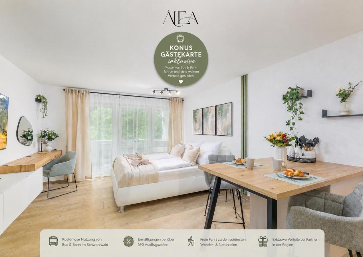 ALEA-Apartment - Bad Wildbad - Bed and Breakfast Bad Wildbad