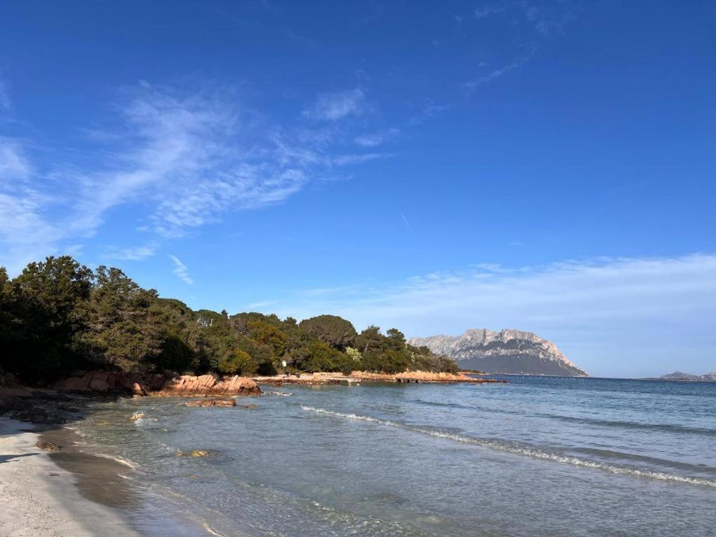 Villa dell'Armonia Perfetta Porto Istana Sardegna - Ferienwohnung Porto Istana