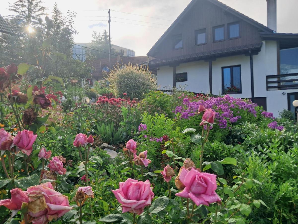 Green Valley Guesthouse - B&B Izvoru Mureșului