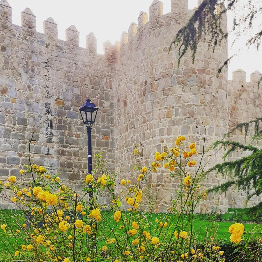 Higos y uvas - Ferienwohnung Tornadizos de Ávila
