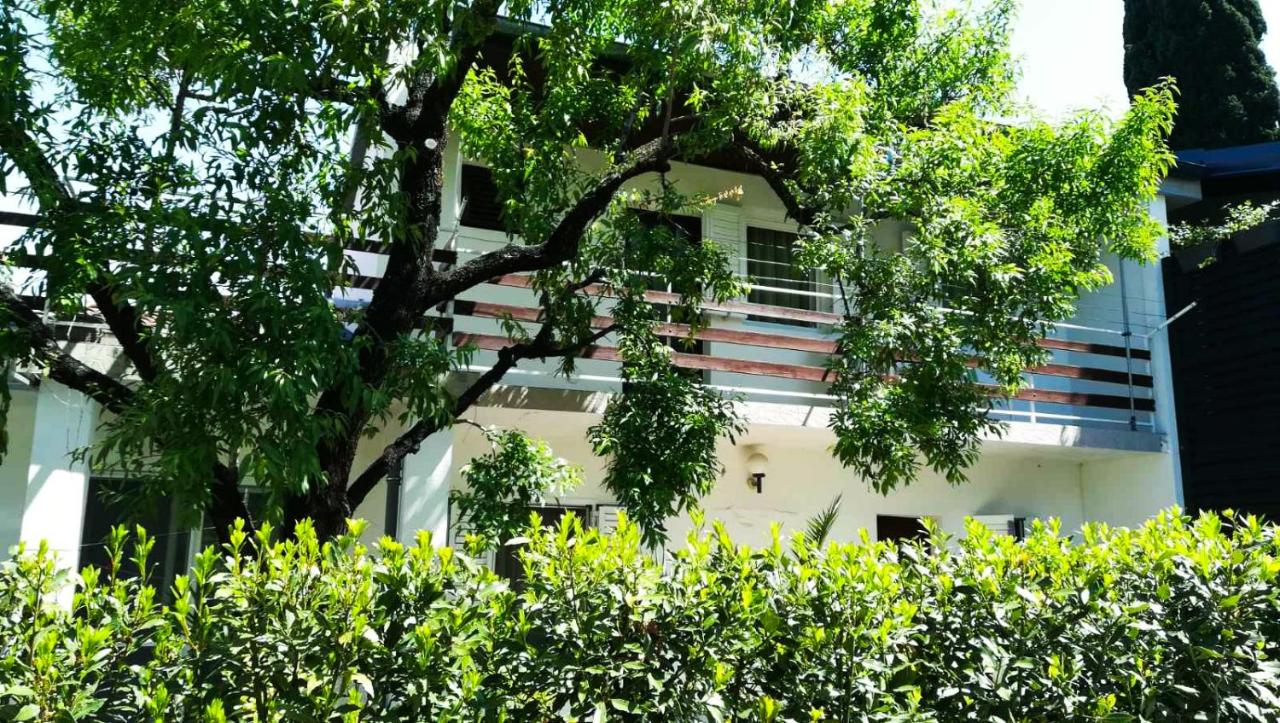 Felix Apartment Biograd - Bed and Breakfast Biograd na Moru