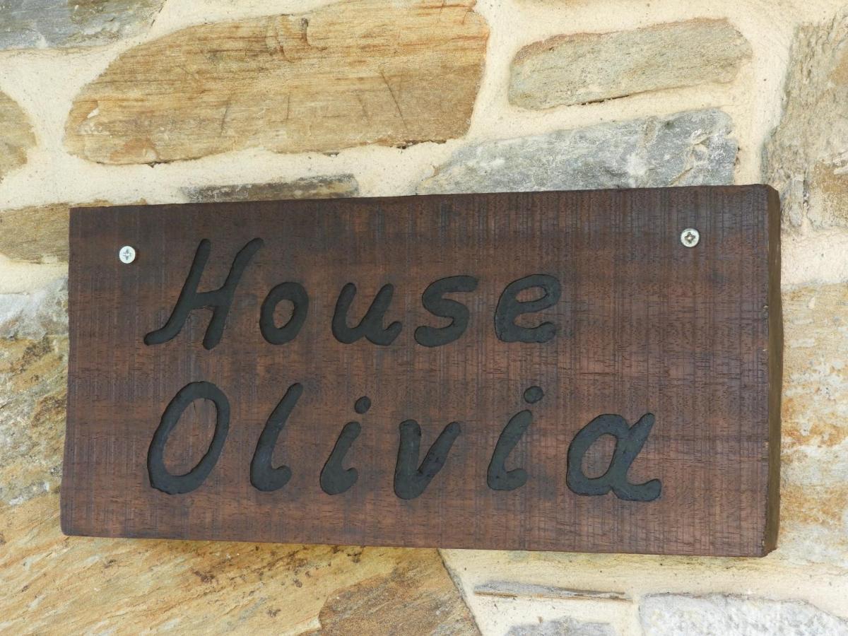 Olivia traditional stone house - B&B Nikiti