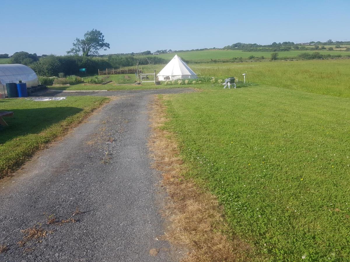 Sleep4GlampingTent-NearTralee-Countryside - B&B Tralee