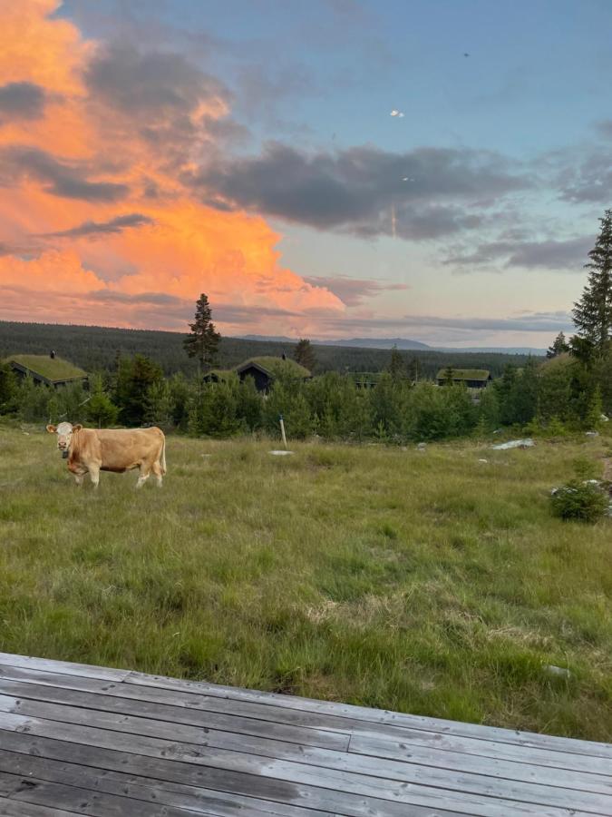 Modern cabin with a Mountain View - Bed and Breakfast Nos
