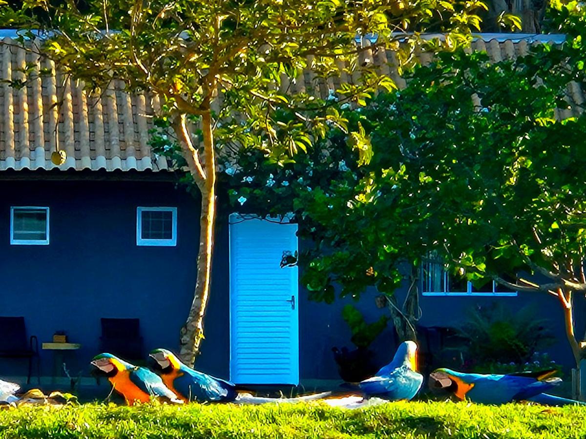 Pousada Paraiso valle verde - B&B Estivado