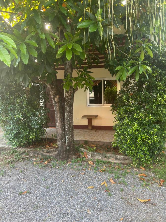 ในวางรีสอร์ท - Bed and Breakfast Ban Mamuang Phum